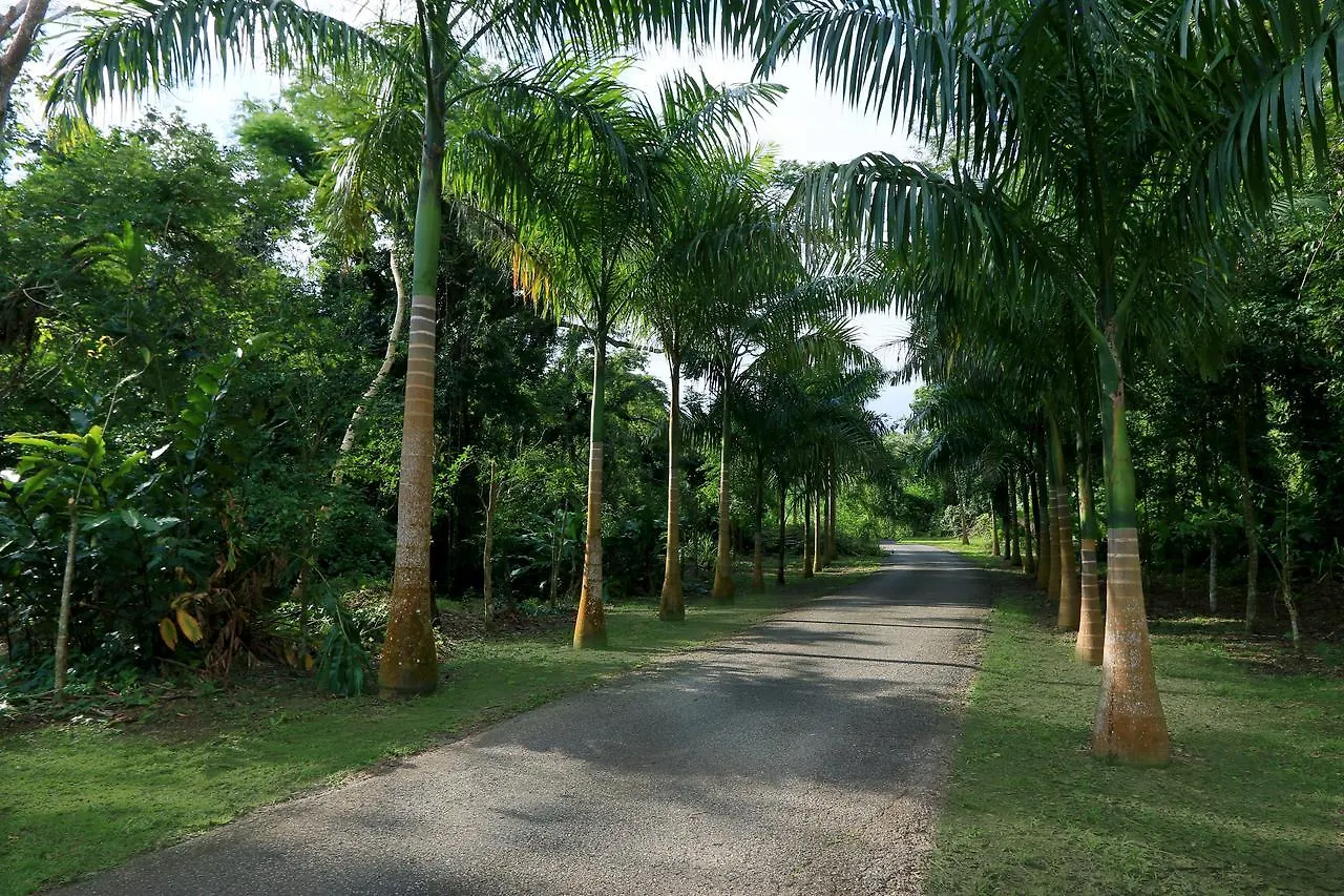 Hacienda Tres Casitas ξενώνας Cabo Rojo Πουέρτο Ρίκο
